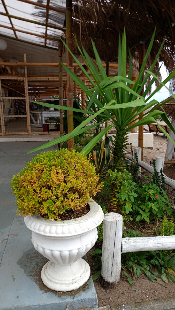 Серый понедельник. Не было ни дождя ни солнца | Вот такая я ...