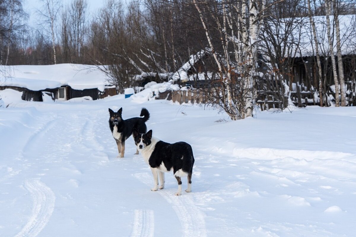 Съемки программы пришлись на 35-градусные морозы.  Фото: Фото: «ФедералПресс» / Полина Петренко