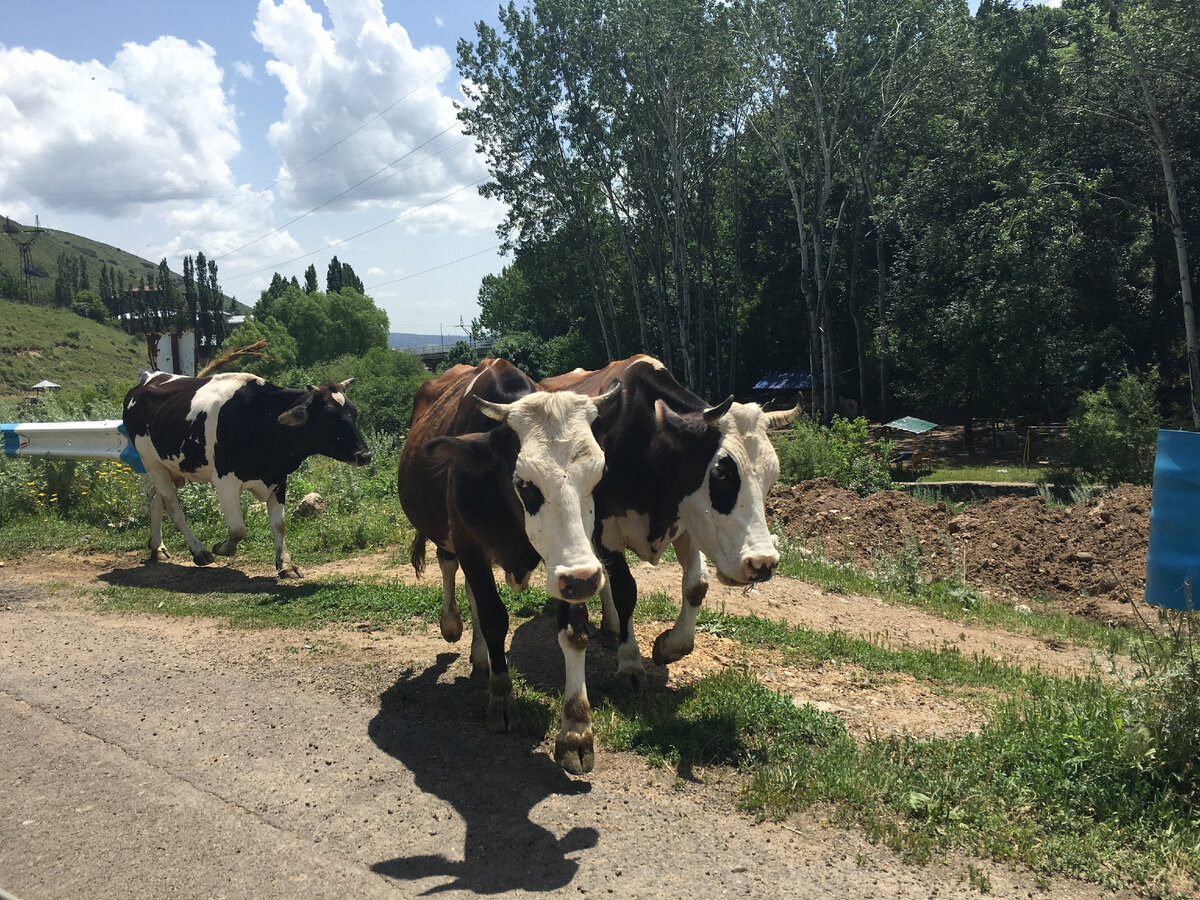 @Sputnik/Lusine Adamyan