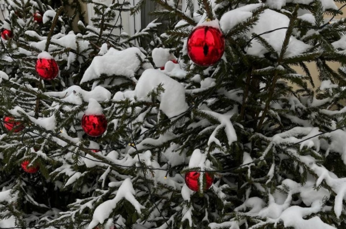    Народные гулянья отменили на Новый год в Волгограде