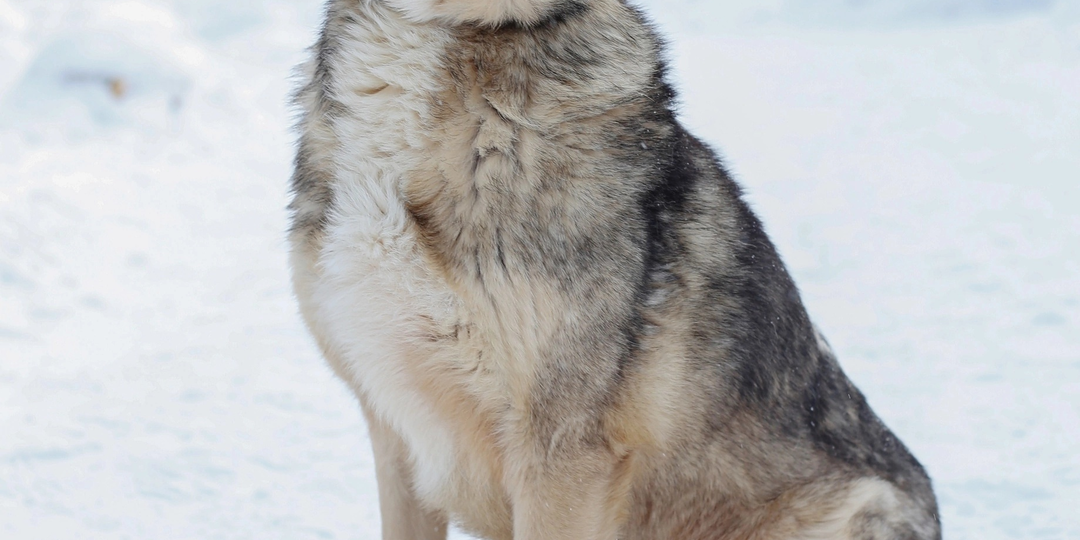 Давайте знакомиться! Меня зовут Тина!