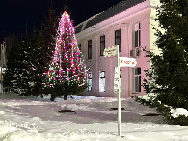    На территории больничного городка в Кирове украсили ёлки