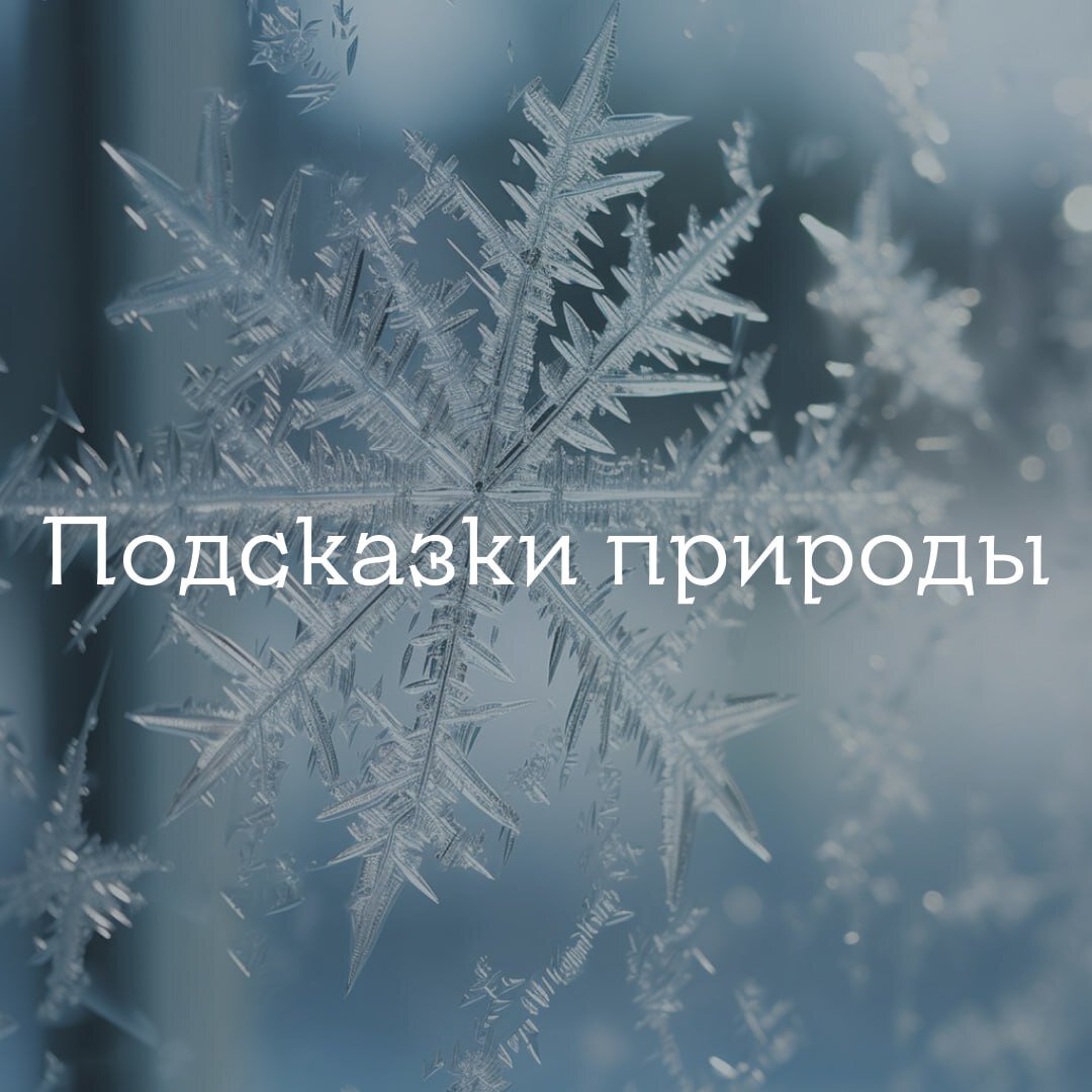 дизайн Ирина Стеблина