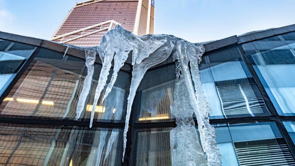 Фото: © Известия/Константин Кокошкин