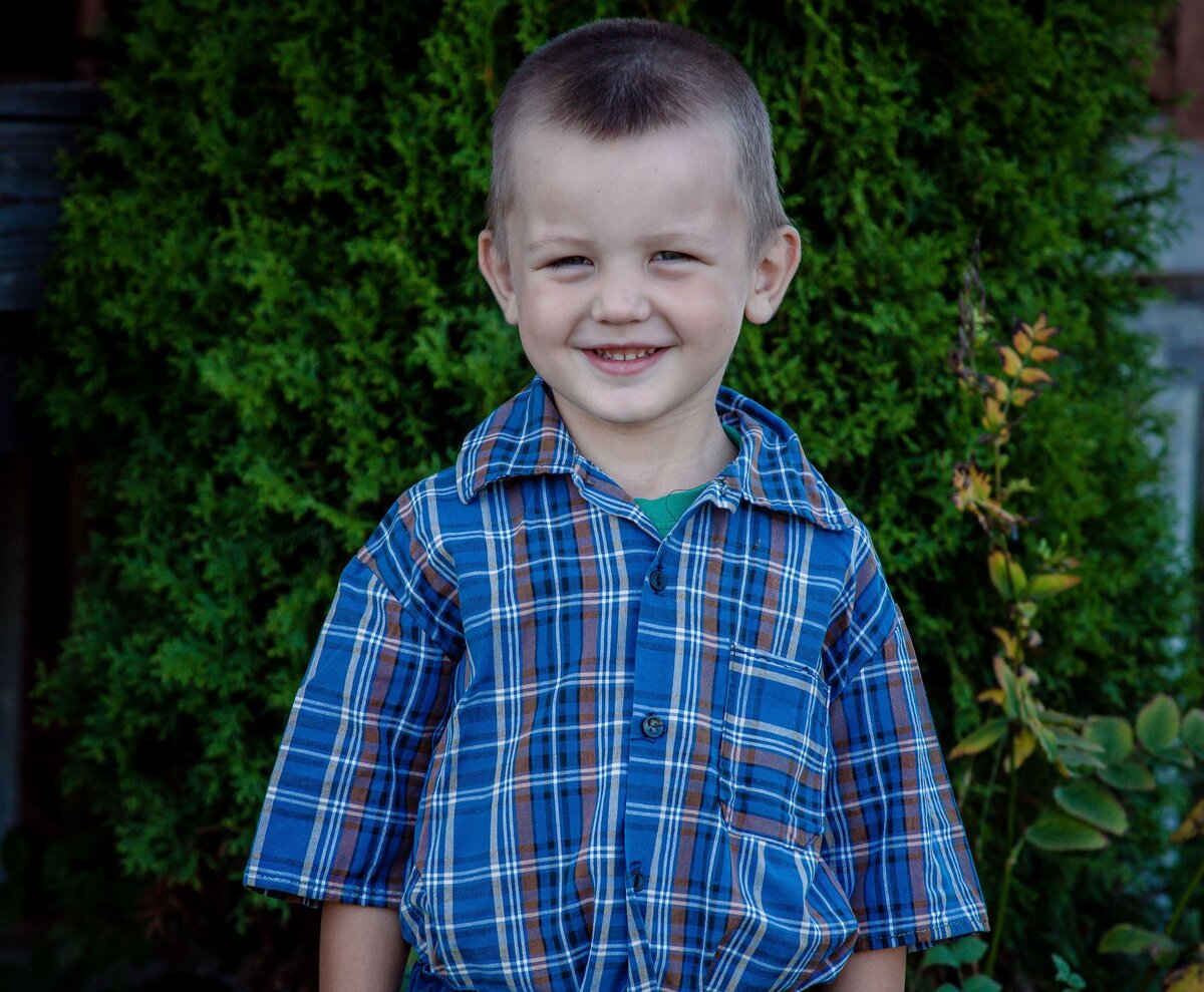 Сынка Мишка