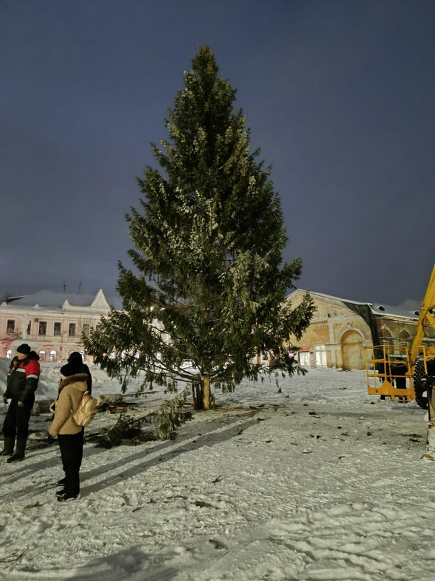    В Слободском и Кирово-Чепецке установили новогодние ели