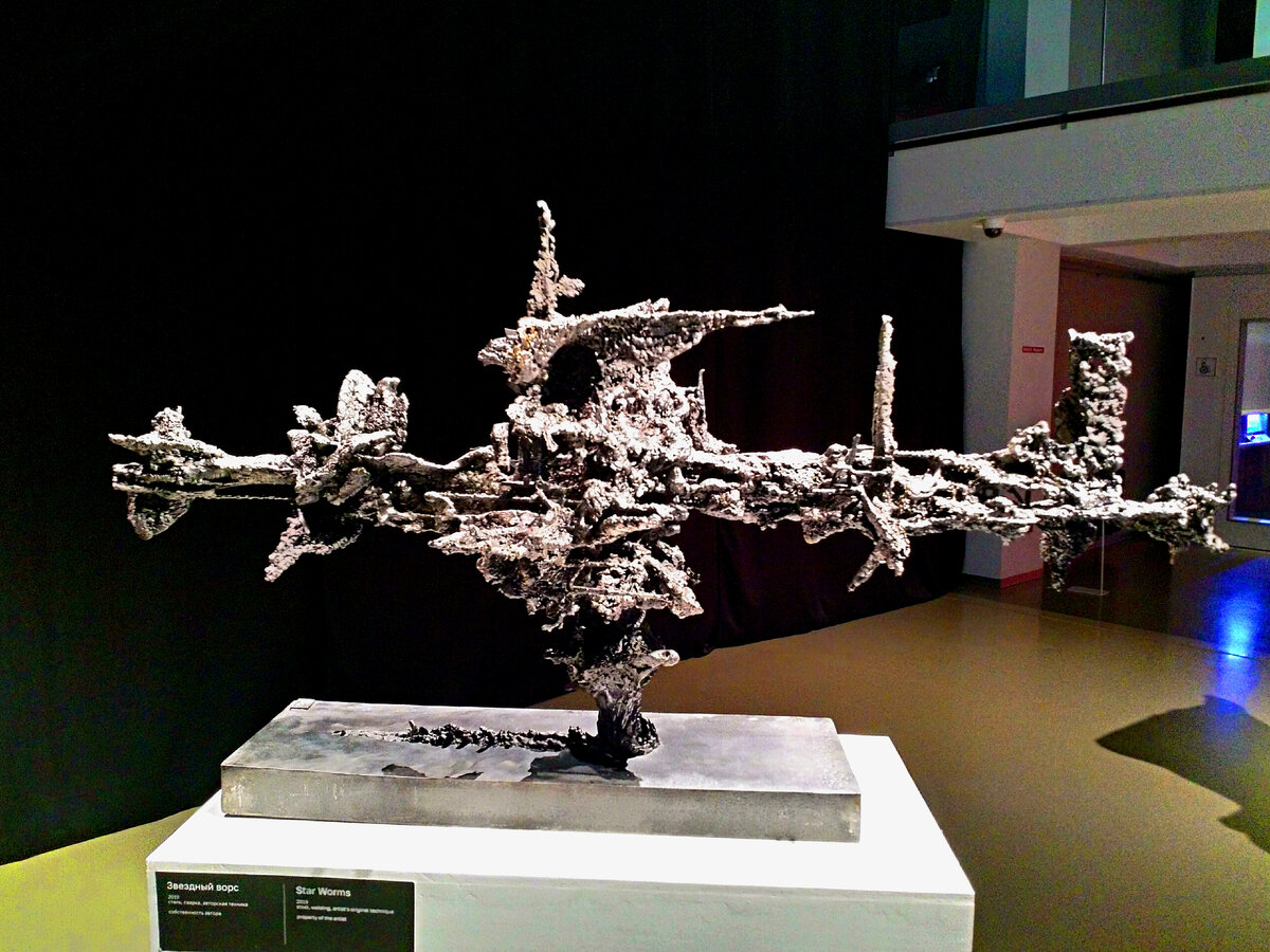 "Звездный ворс", Дмитрий Жуков, из экспонатов выставки "Коневая папка"