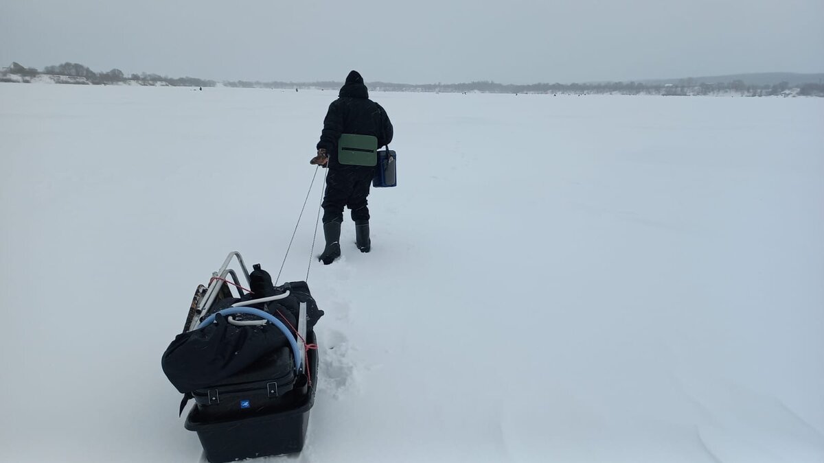 река Ока, Цимлянский карьер (озеро Павленское)