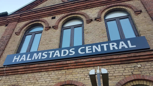    Украинские безбилетники забрались в поезд, чтобы запросить убежище в Швеции