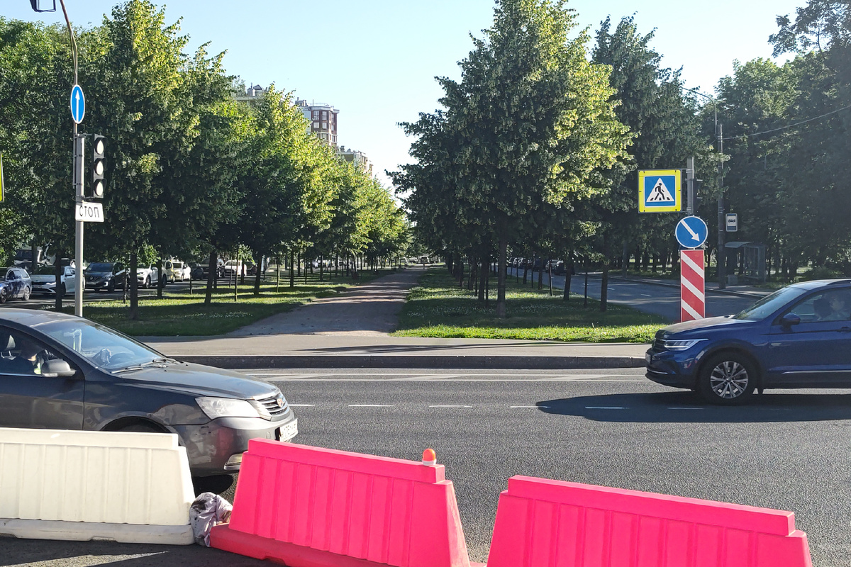 Вид на улицу Замшина от Полюстровского проспекта.