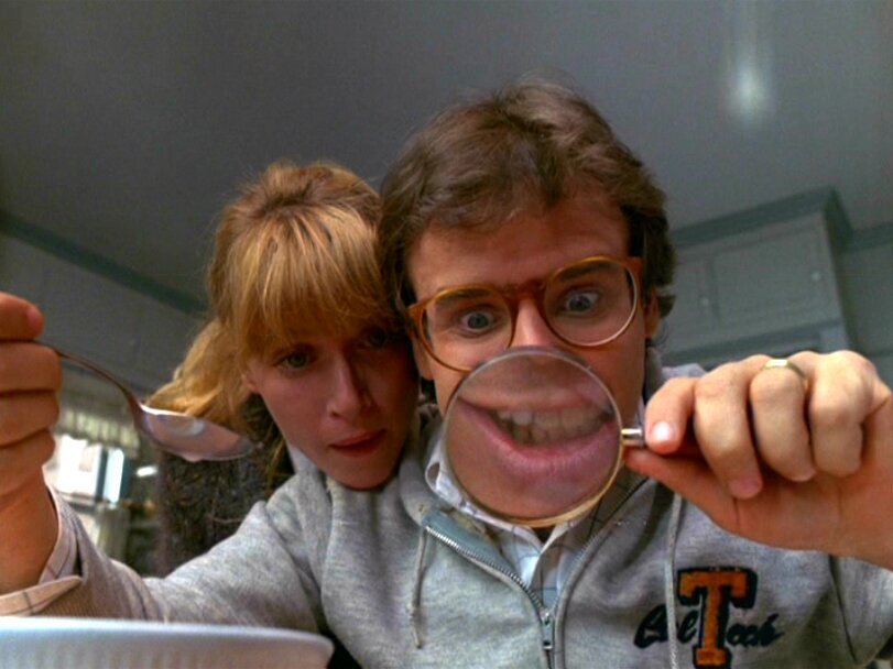 Дорогая я уменьшил детей 1989 bdrip. Дети уменьшились в размере. Дорогая, я уменьшил детей фильм 1989. Дети уменьшились в размере. Дорогая я уменьшил детей эми.