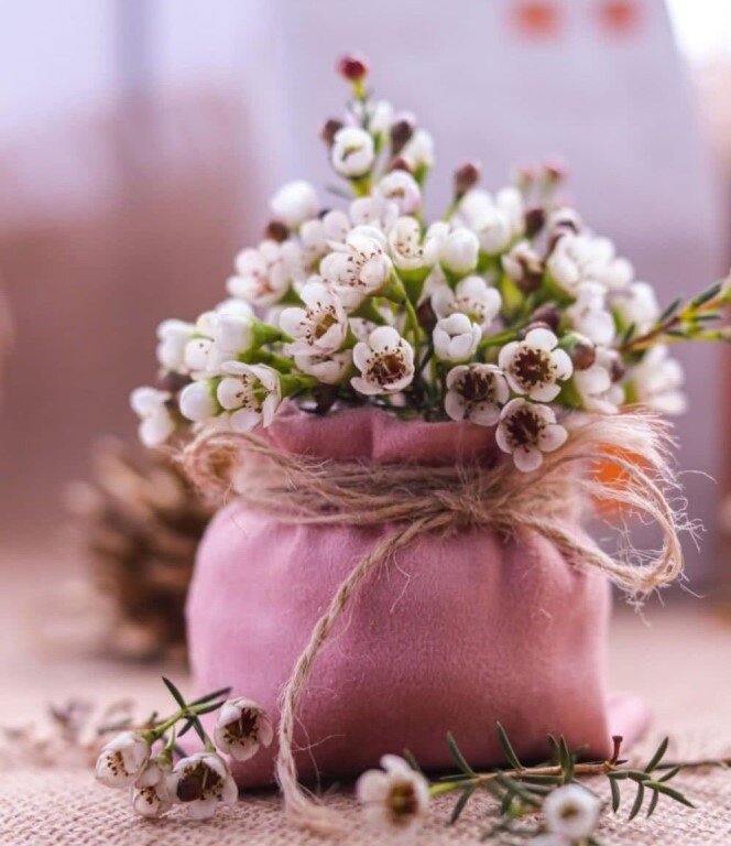 Фото из инета.