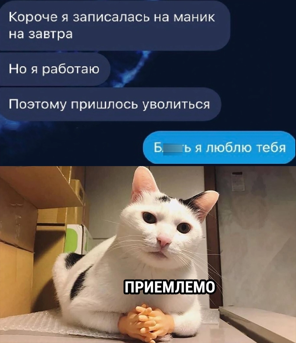 Котенок мой, я так скучаю