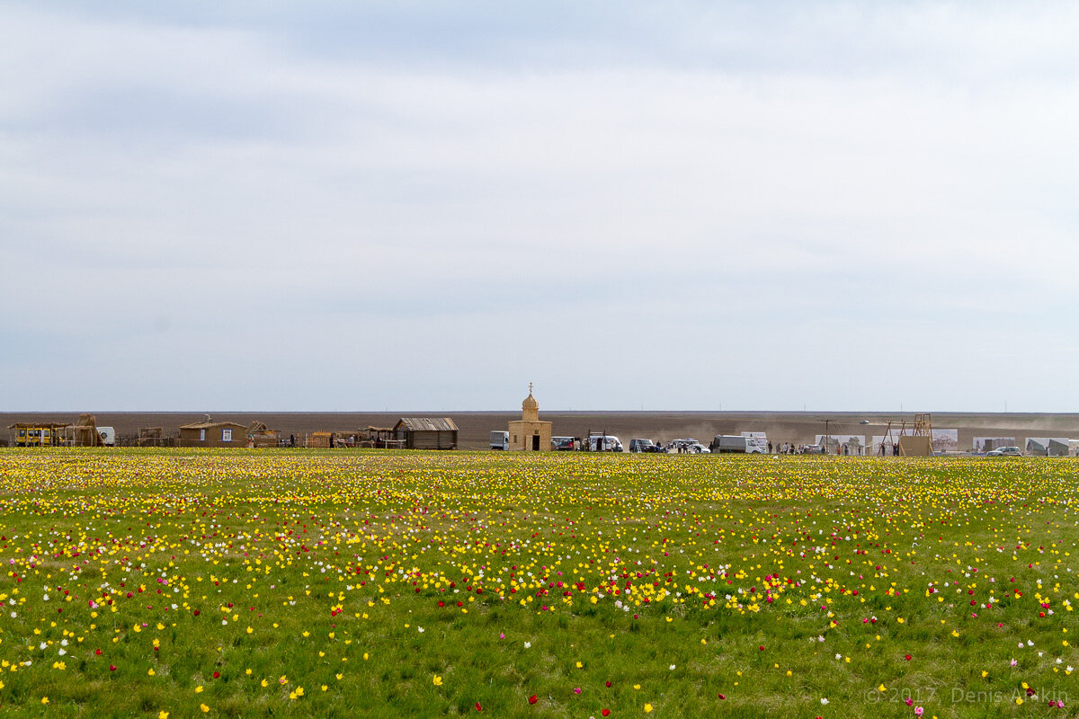 Новоузенск