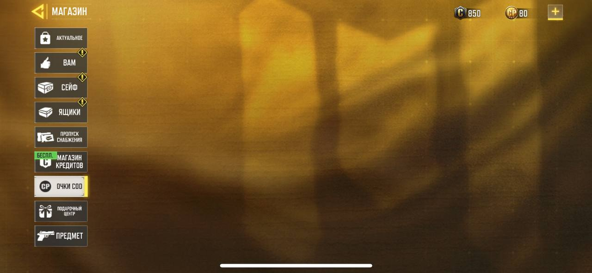 Так выглядит аккаунт с закрытым магазином СР