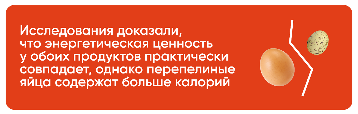 Как устроена мужская репродуктивная система - схема мужской половой системы