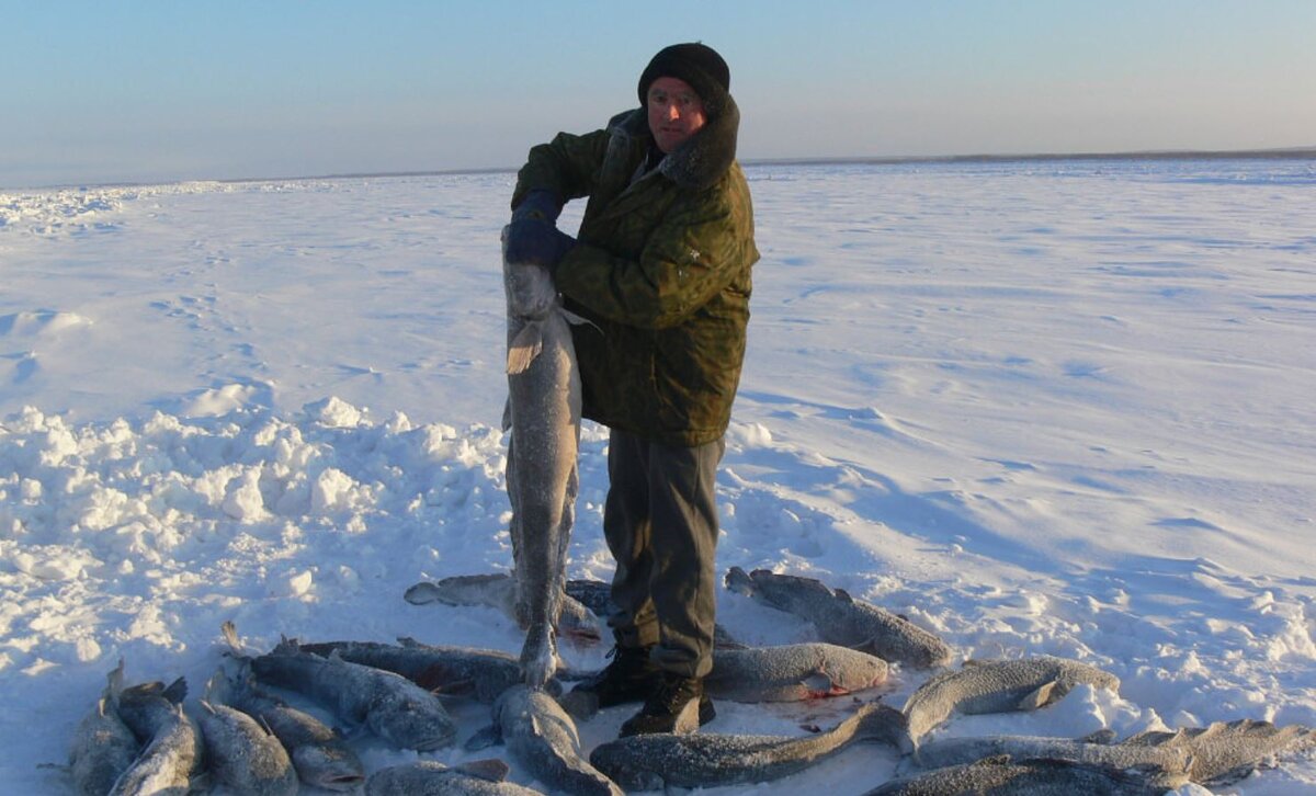 Где зимой ловят рыбу. Зимняя рыбалка на налима. Зимняя рыбалка в Якутии на налима. Рыбалка на налима зимой. Налим улов.