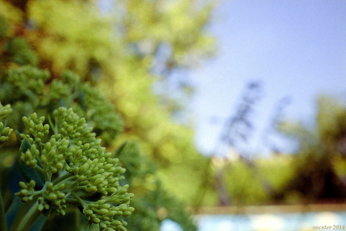 Дистанция фокусировки 0,18 м