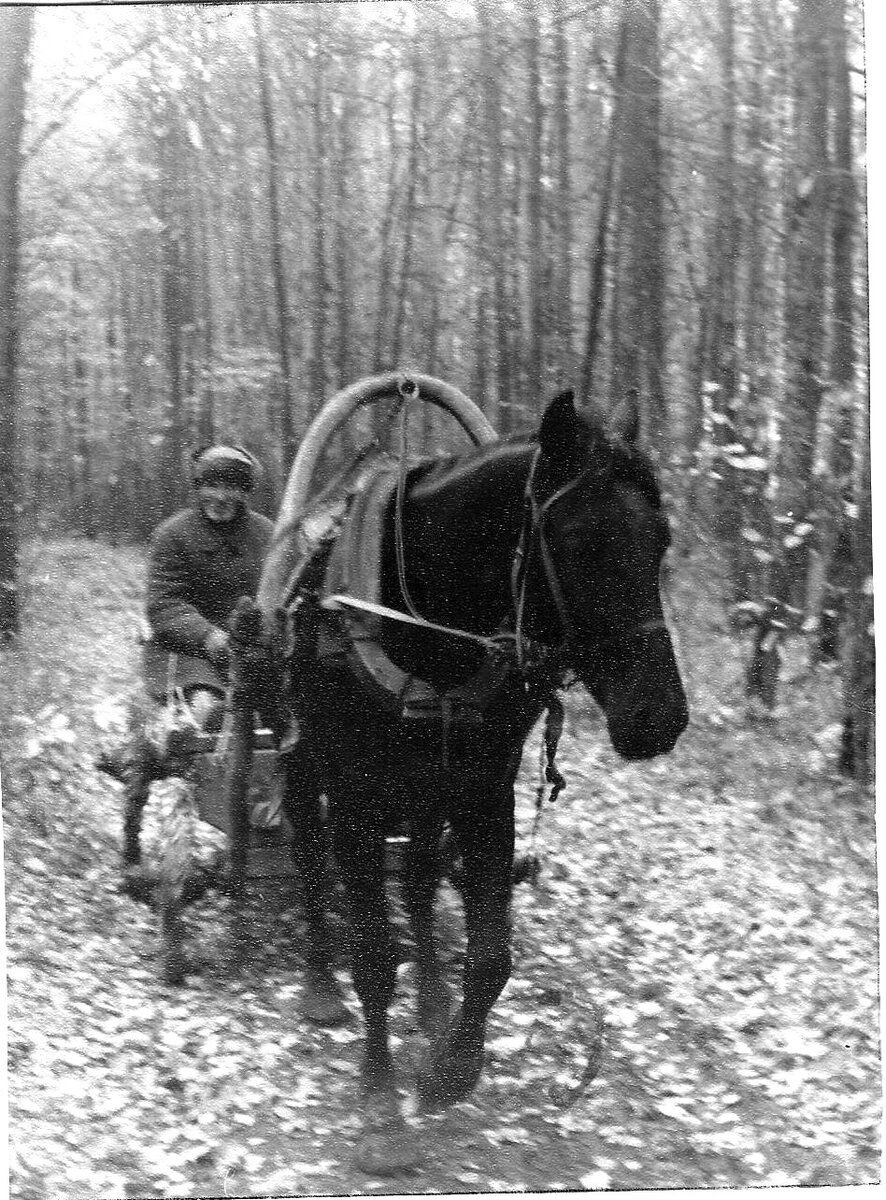 1960 - 70 годы. Фото из архива односельчан