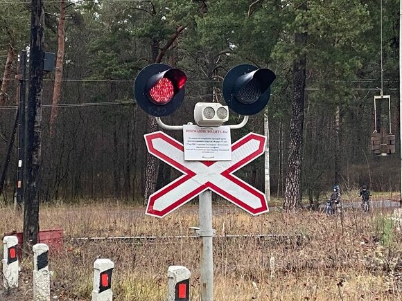    Фото ИА «Росбалт»