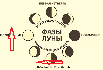 Фазы Луны - также следствие обратного вращения Земли вокруг её окружного центра в течение месяца. Движение фаз обратно направлено (по часовой стрелке) к орбитальному вращению нашей планеты и к взаимному лунно-земному вращению. Потому лунные фазы также можно назвать оптическим эффектом. На рисунке фазы Луны (сочетание чёрной и белой части) проставлены неверно для утверждения прямого вращения Луны при образовании фаз.