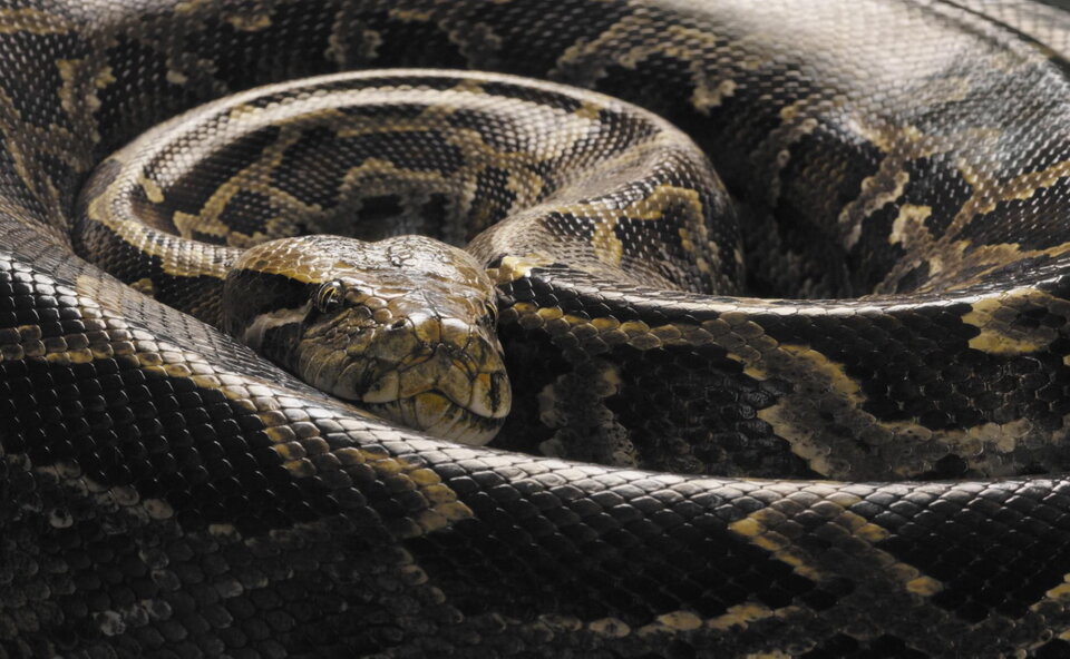 Нас позвали – мы пришли. Что дальше?