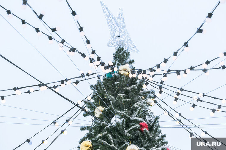    Самые красивые елки стоят на главных городских площадках