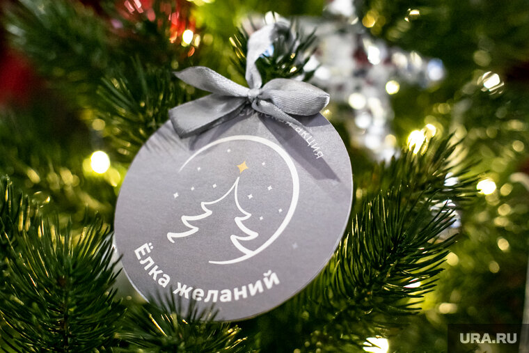    Мечта юной жительницы Кургана исполнится под Новый год