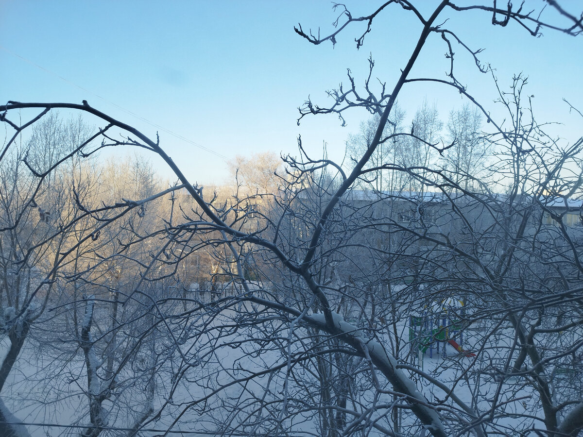 Вид из окна. Фото из личного архива автора