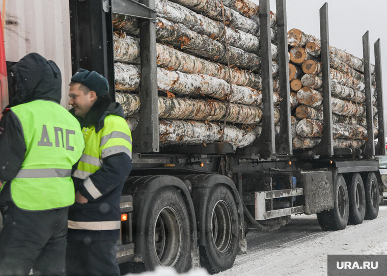    Директор Курганского управления лесами уволился по решению УМВД