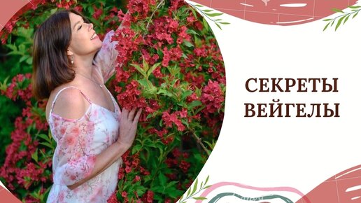 СЕКРЕТЫ ВЕЙГЕЛЫ🌸