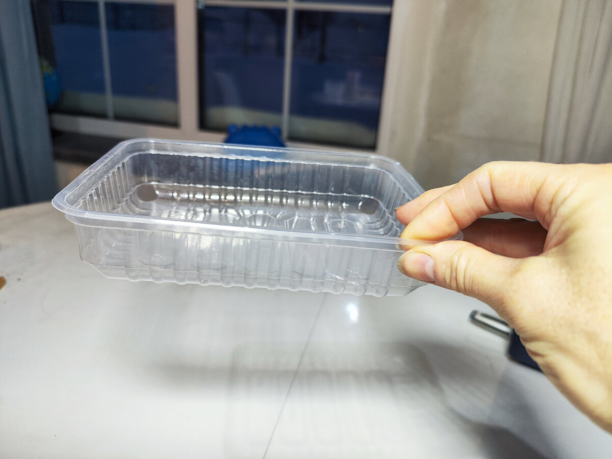 фото Малиновская_SAD