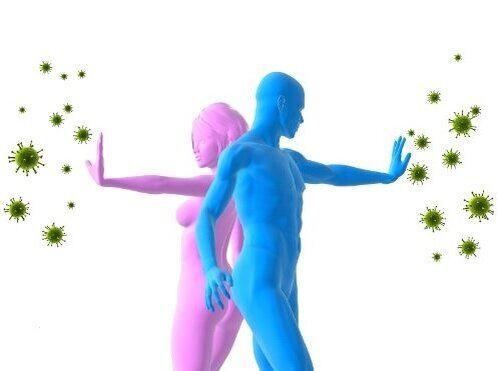 Картинка из свободных источников интернета 