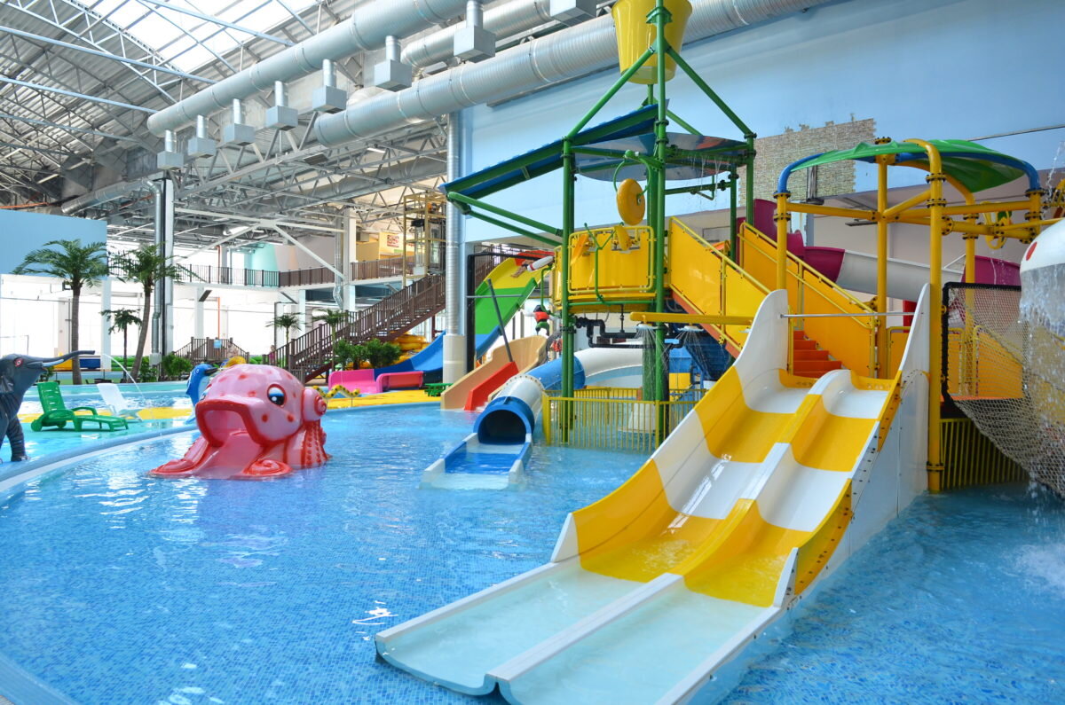 поселки дубки ярославский дельфинарий. площадь у тюза в ярославле. куда можно детям сходить в ярославле. детский парк ярославль. куда можно детям сходить в ярославле.