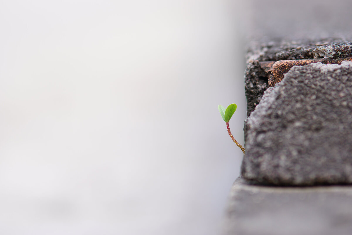 Фотограф: Nguyễn Trường: https://www.pexels.com/ru-ru/photo/11092207/аш
