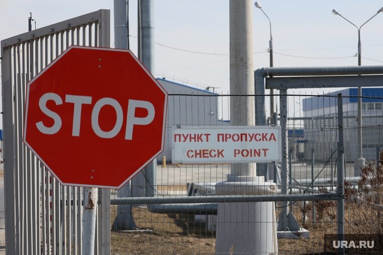    Из Курганской области в Казахстан не пропустили 80 кг конины