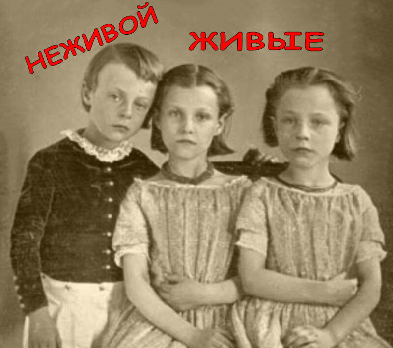 Живые и мертвые