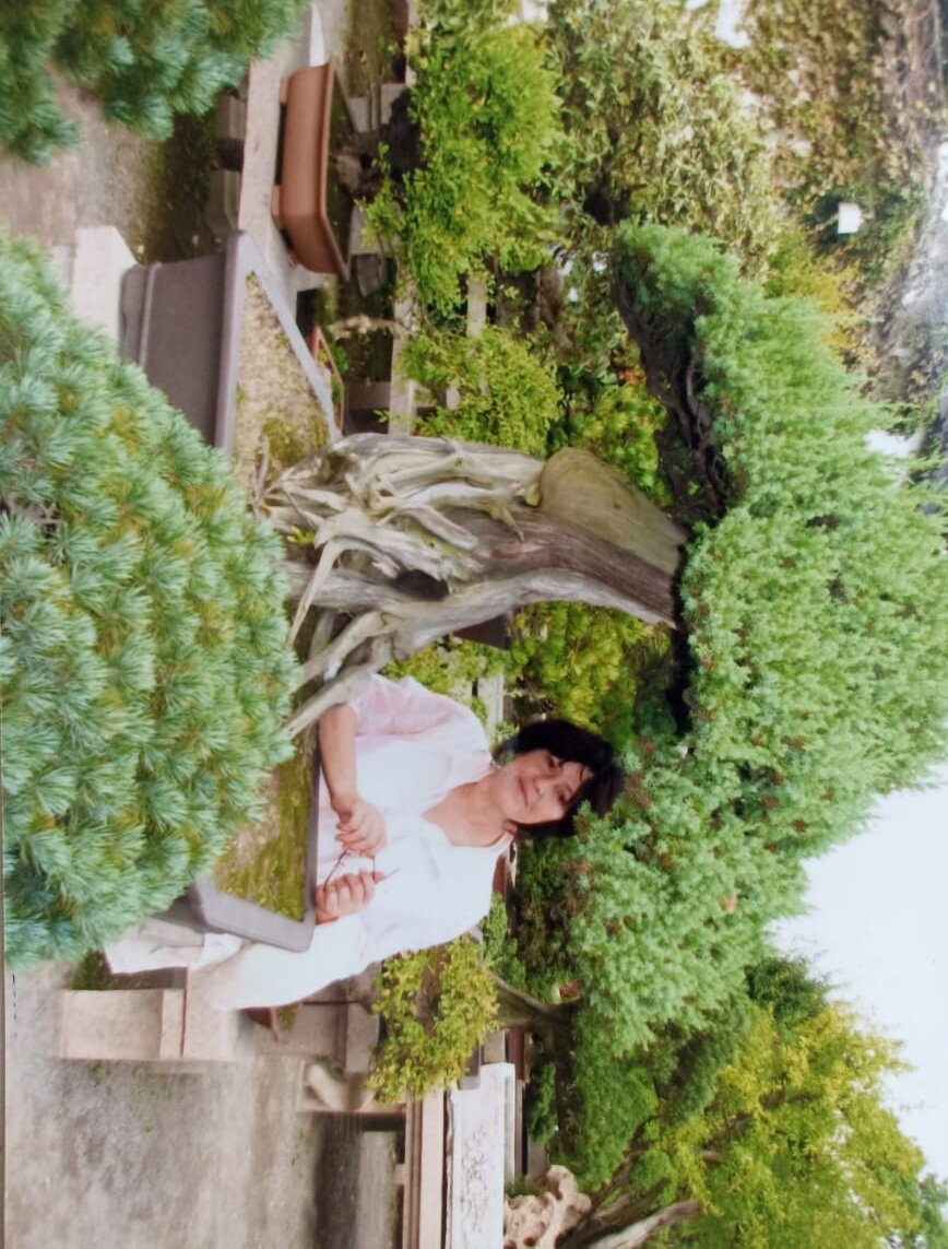 А это сады Бонсай,коих здесь много.