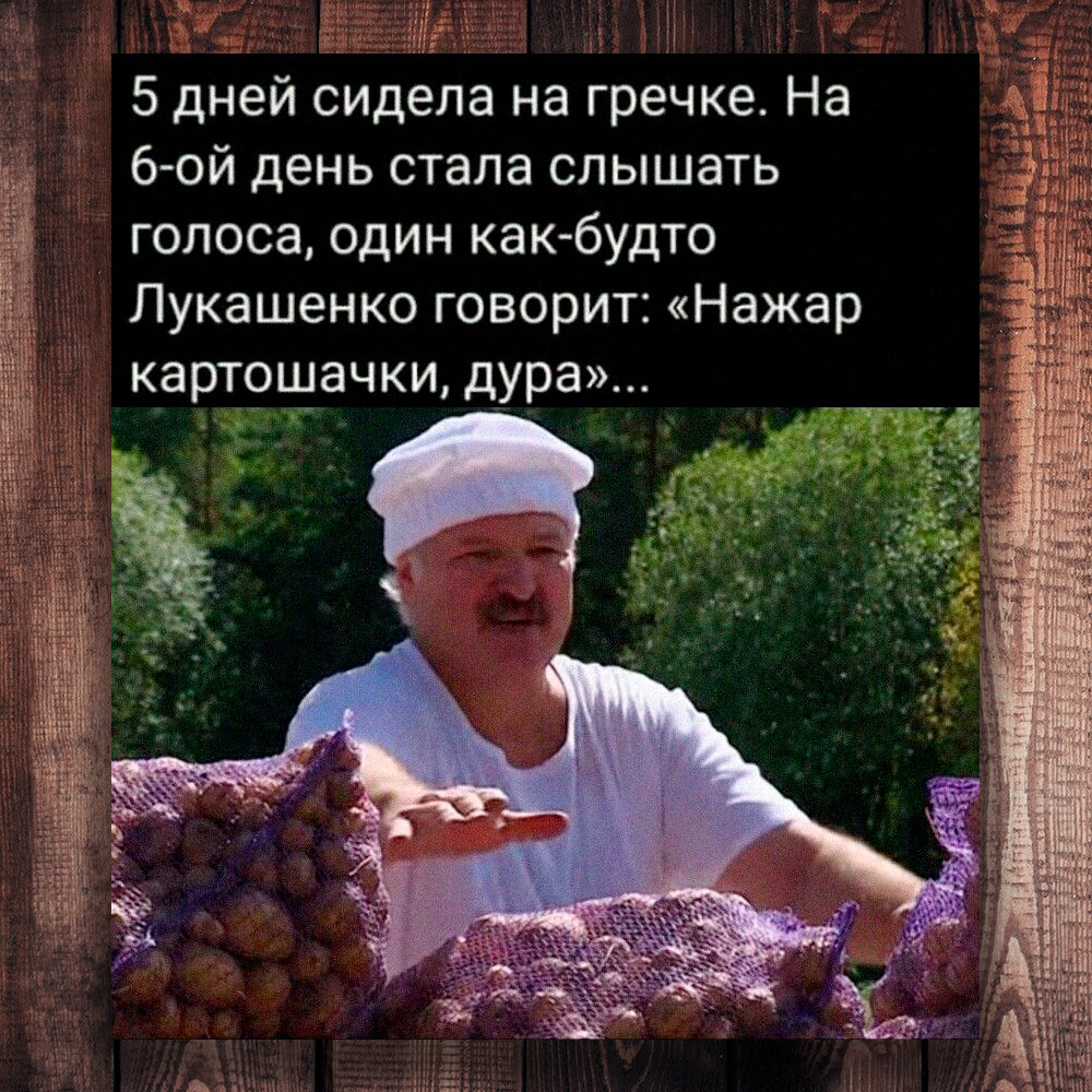 Нажарь картошки Лукашенко