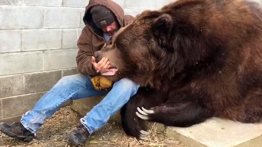Вы не поверите, но этот медведь спас парня и вот как!