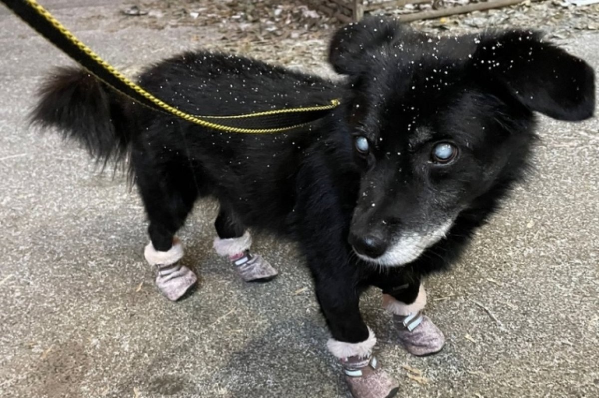    Сказочно везучий.