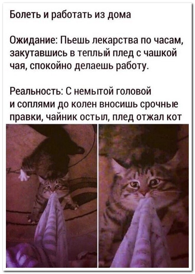 Удалённая работа имеет свою специфику. Но про болезни у меня сейчас и с официальным устройством в штат ровно так же!! 