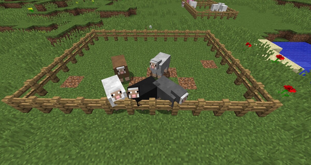 Овцы майнкрафт