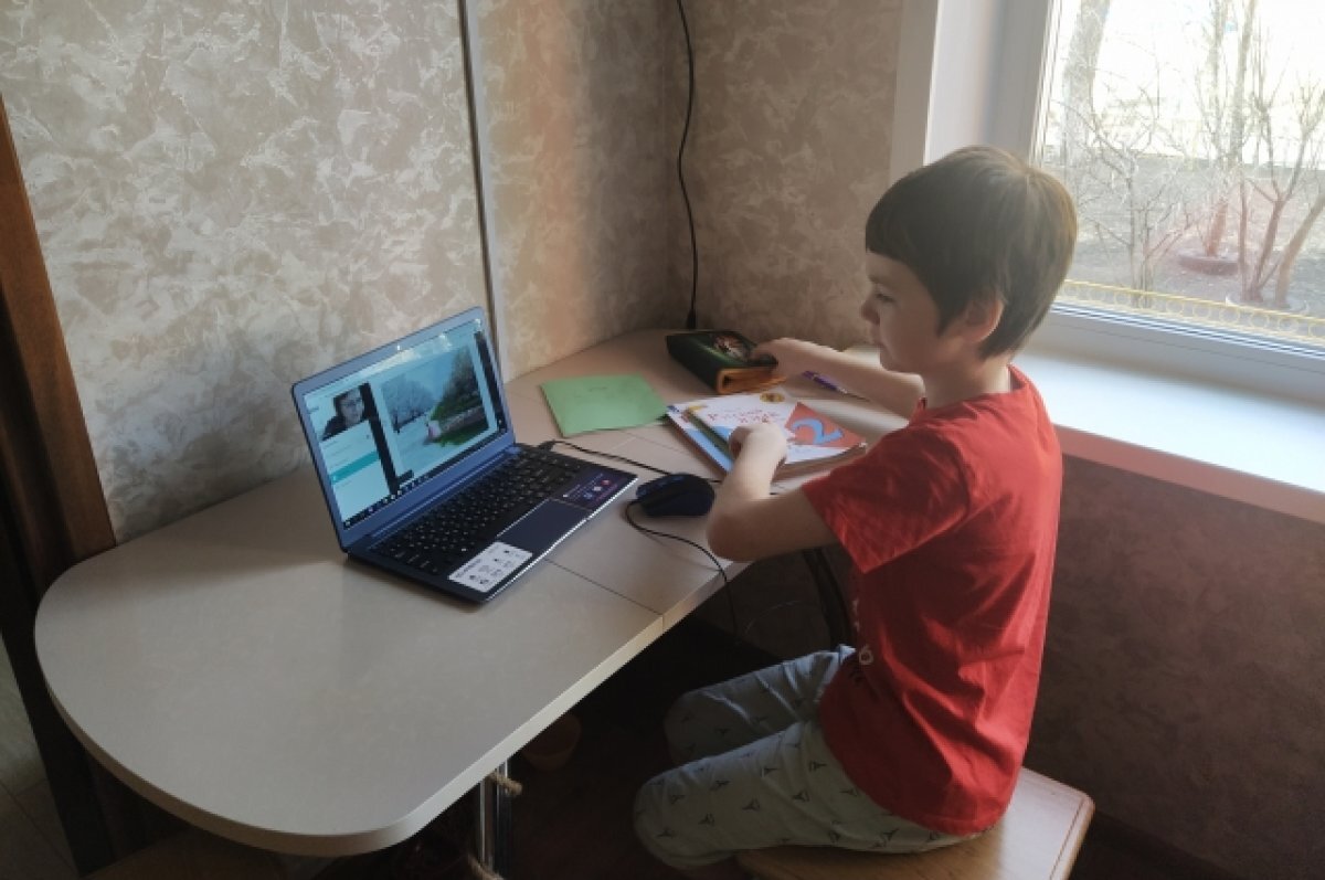    С 21 декабря учащиеся 1-8 классов школ Оренбурга уходят на дистант