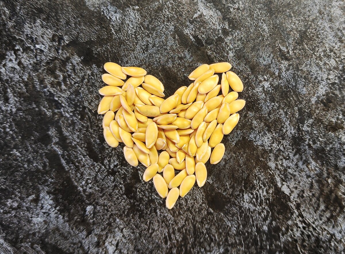 Семена дыни для птиц - эксперимент этого года