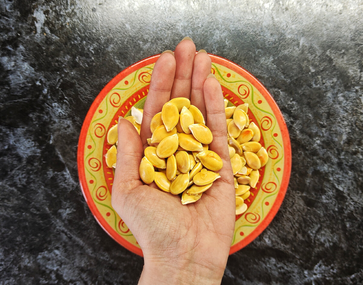 Запасаю семена тыквы каждый год