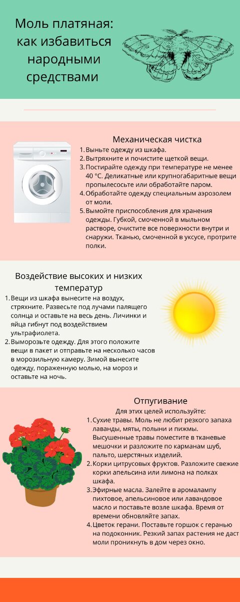    Инфографика: как избавиться от моли народными методами:NUR.KZ