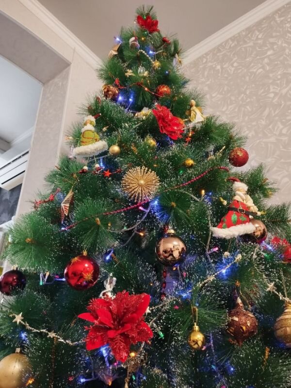 Фото: https://t.me/kaspyinfo.