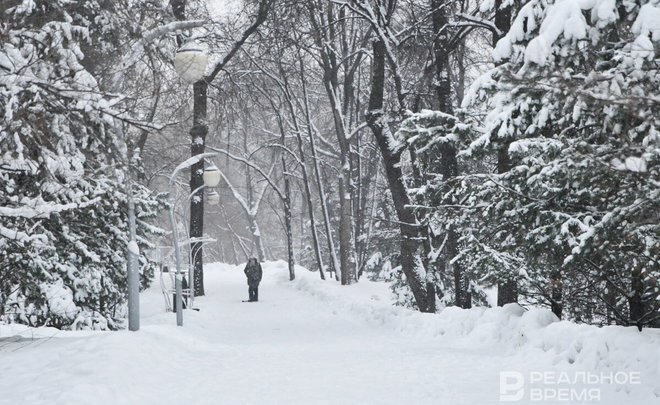 Фото: realnoevremya.ru/Максим Платонов 