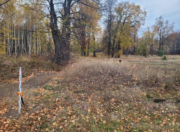 В октябре 2023 года было проведено разведочное археологическое обследование земельных участков, отведенных под строительство первого квартала жилкомплекса с громким названием «Экорайон «Серебряный бор». скрин realnoevremya.ru документации с сайта okn.tatarstan.ru